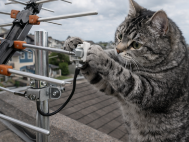 テレビアンテナを交換しました 【近江八幡市】